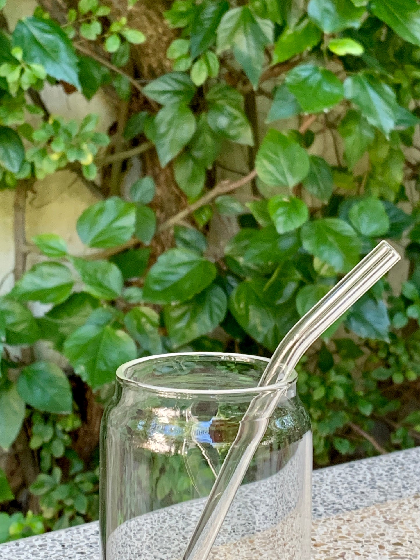 Minimalistic Glass Tumbler with Bamboo Lid & Glass Straw