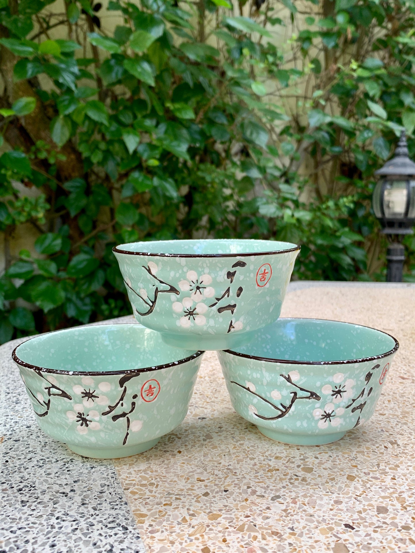 Chawan - Japanese Matcha Ceremony Bowl