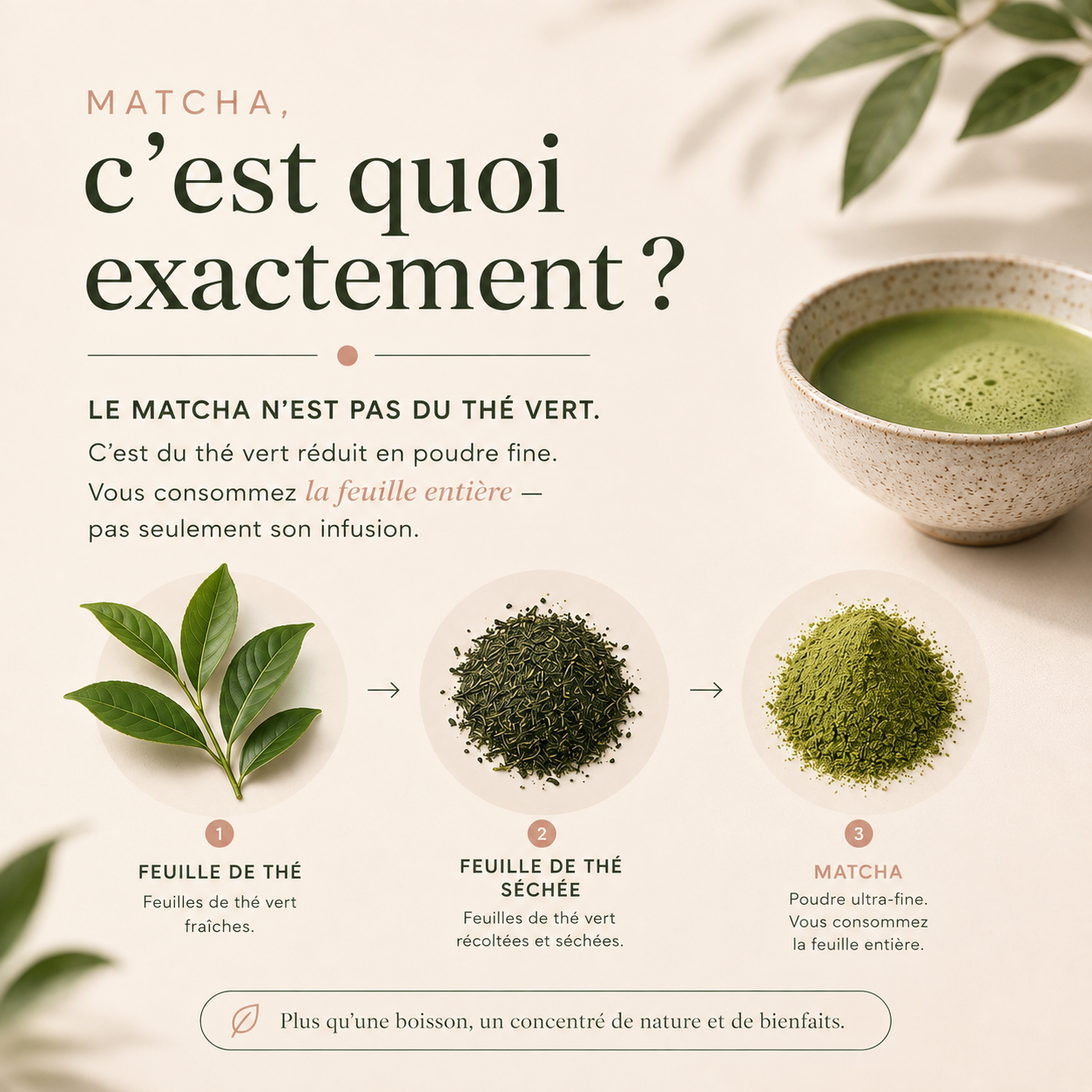 Ceremonial Grade Organic Matcha