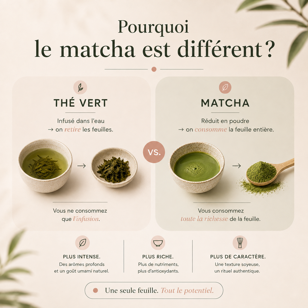 Ceremonial Grade Organic Matcha