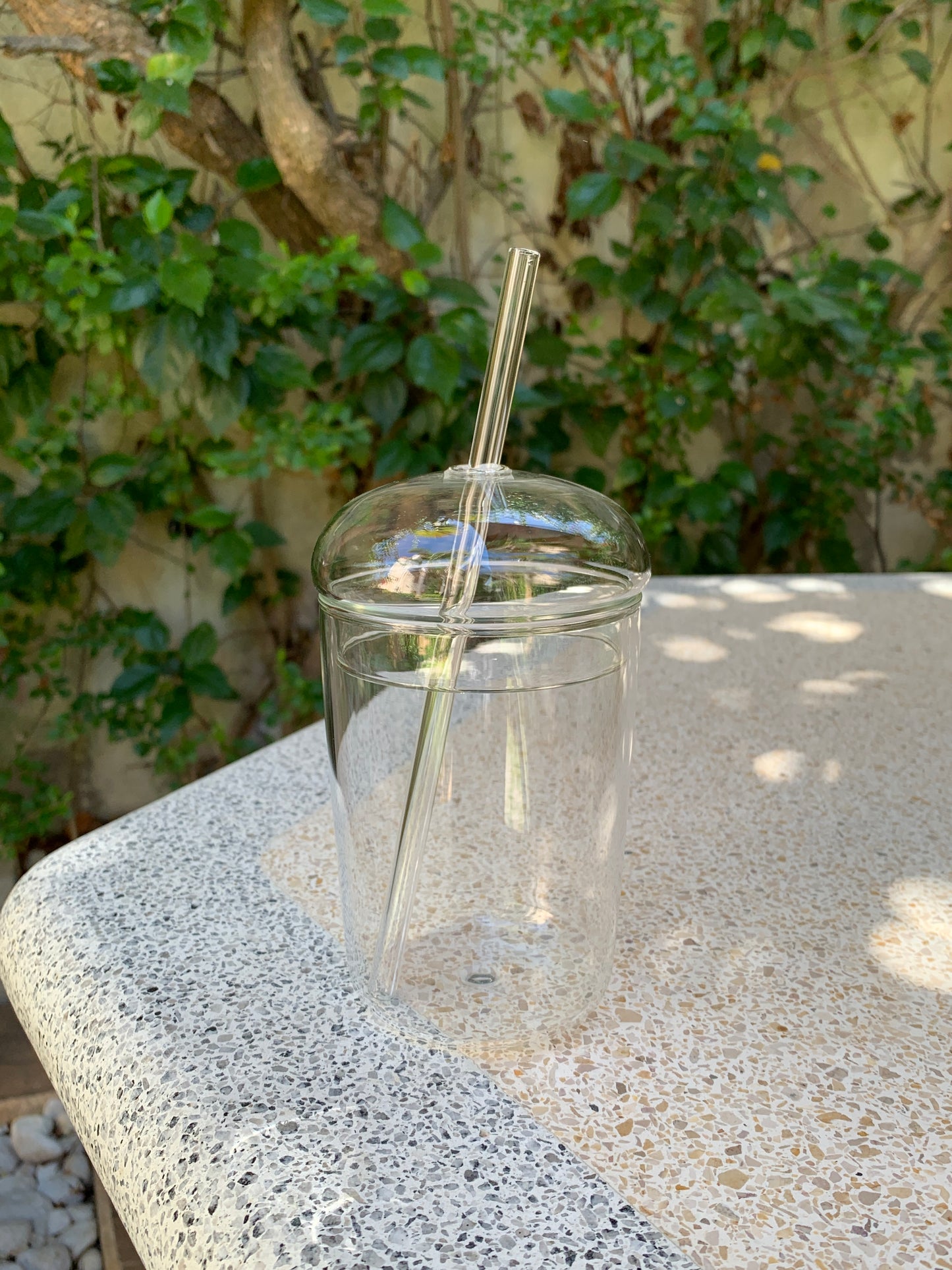 Dome Glass Tumbler with Glass Straw