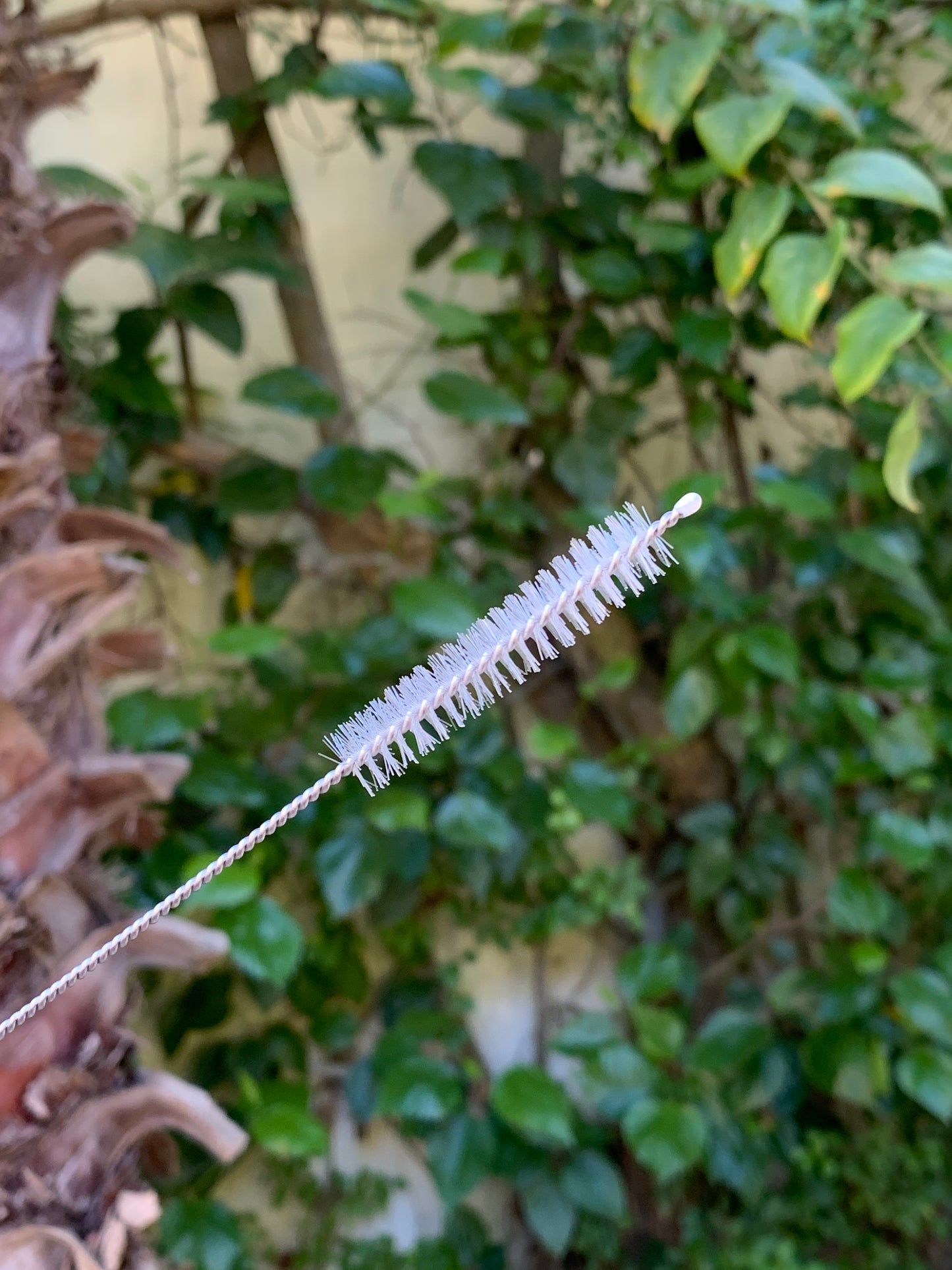 Straw Cleaning Brush