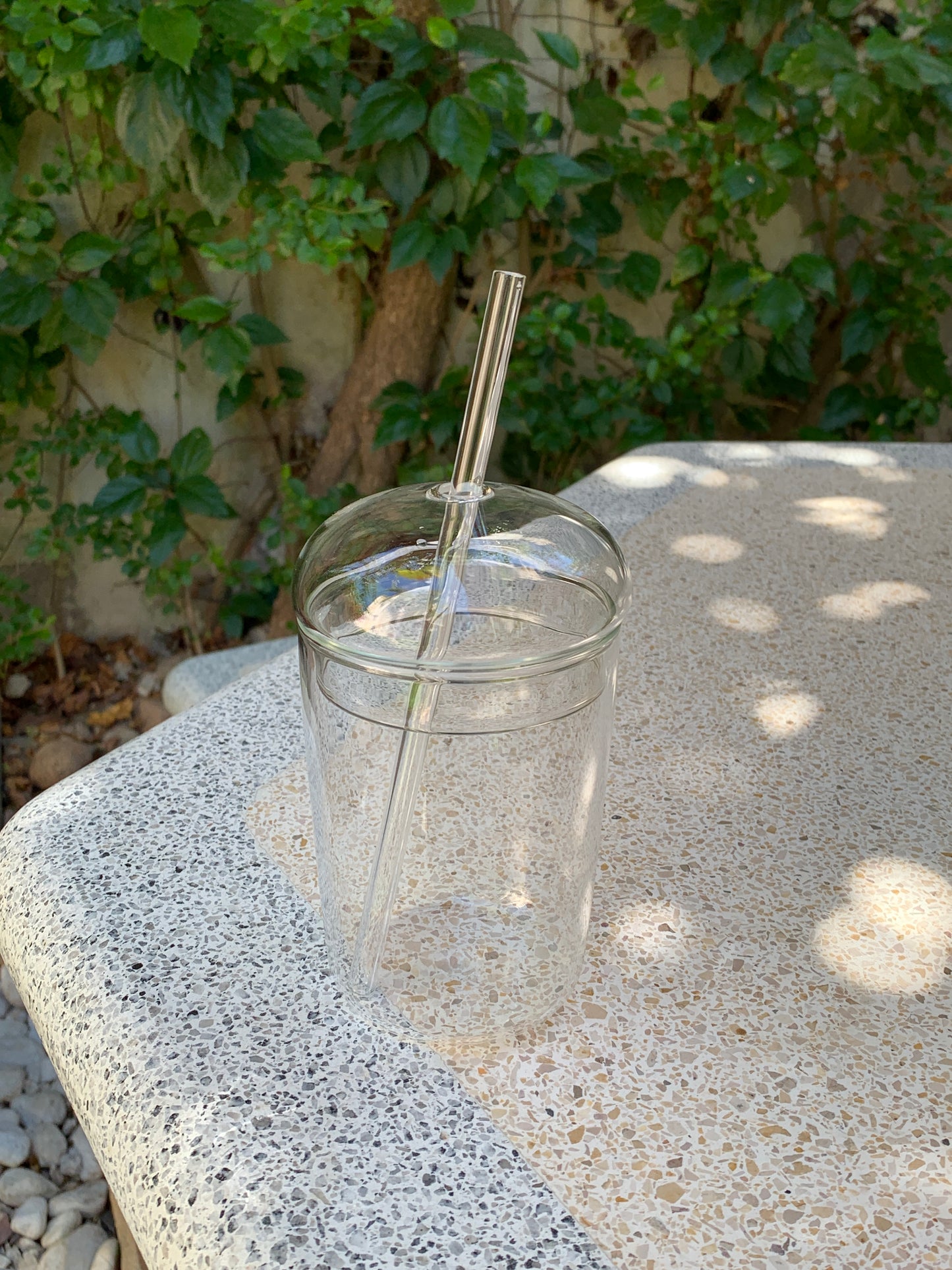 Dome Glass Tumbler with Glass Straw