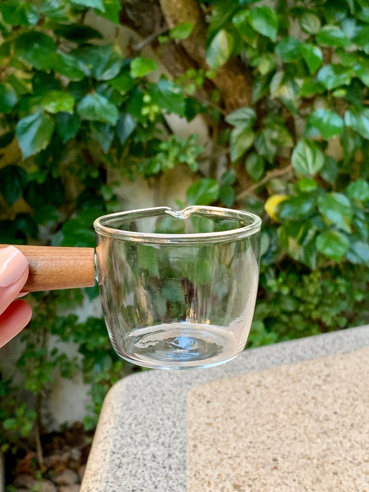 Mini Glass bowl with Handle